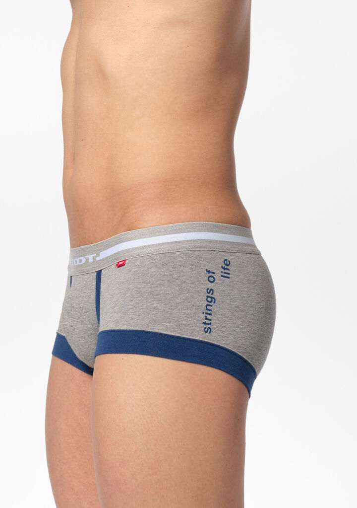 Strings of Life Boxer,gray, medium image number 3