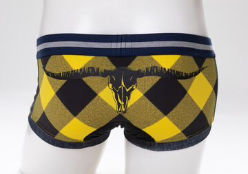 Buffalo Check Boxer,blue, small image number 10