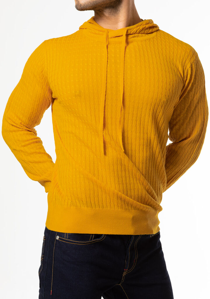 Knit Hoodie,yellow, medium image number 4
