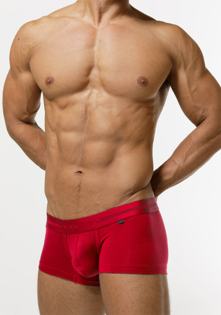 Silk Boxer,red, medium image number 2