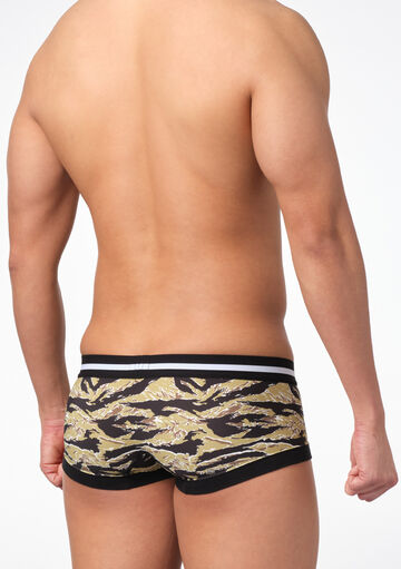 Tiger Scratch Boxer,, small image number 2