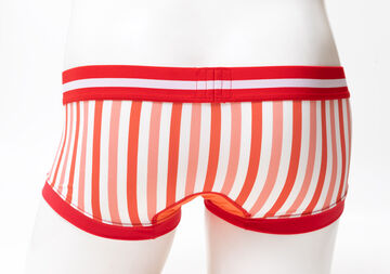 Vertical Stripe NANO,red, small image number 10