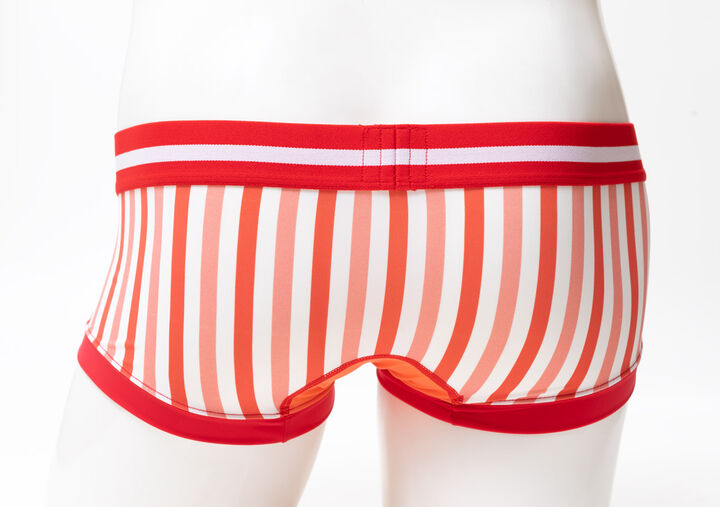 Vertical Stripe NANO,red, medium image number 10