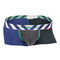 Division 2 Ultra Micro,blue, swatch