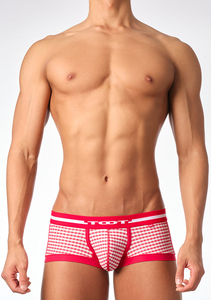 Gingham Check Boxer II,red, medium image number 1
