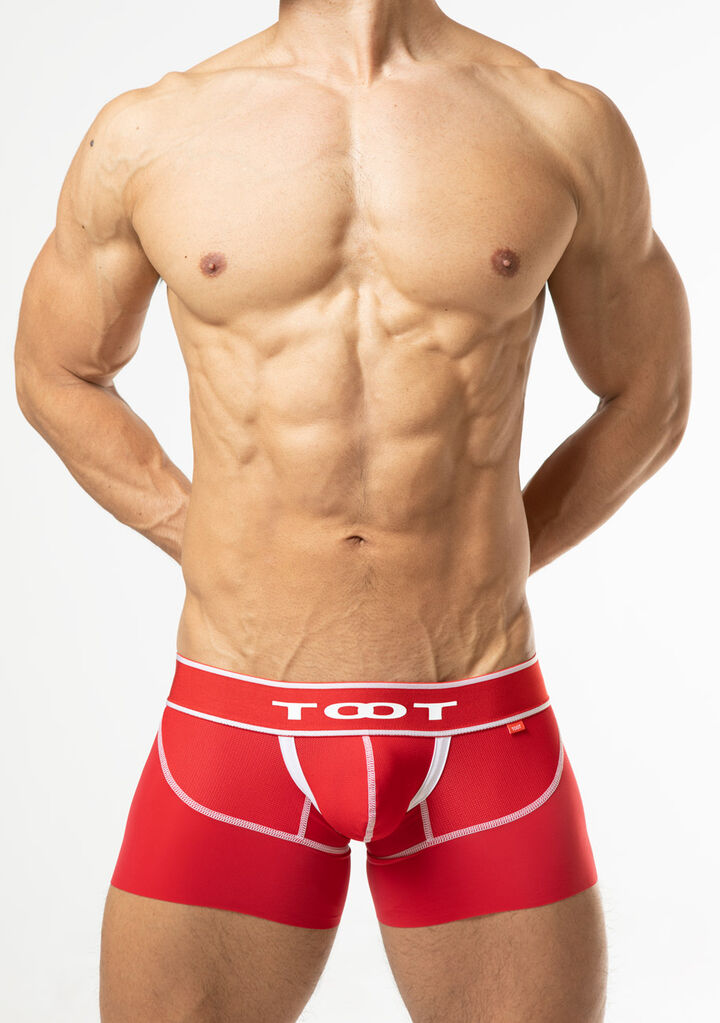 Smooth Short Boxer,red, medium image number 1