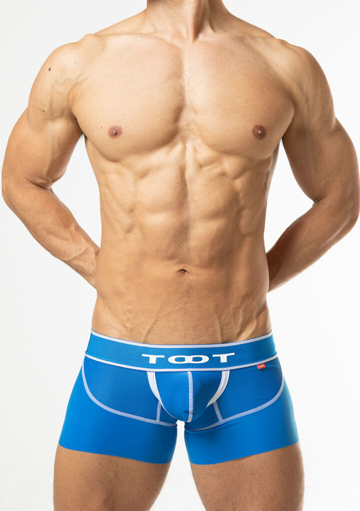 Smooth Short Boxer,blue, medium image number 1