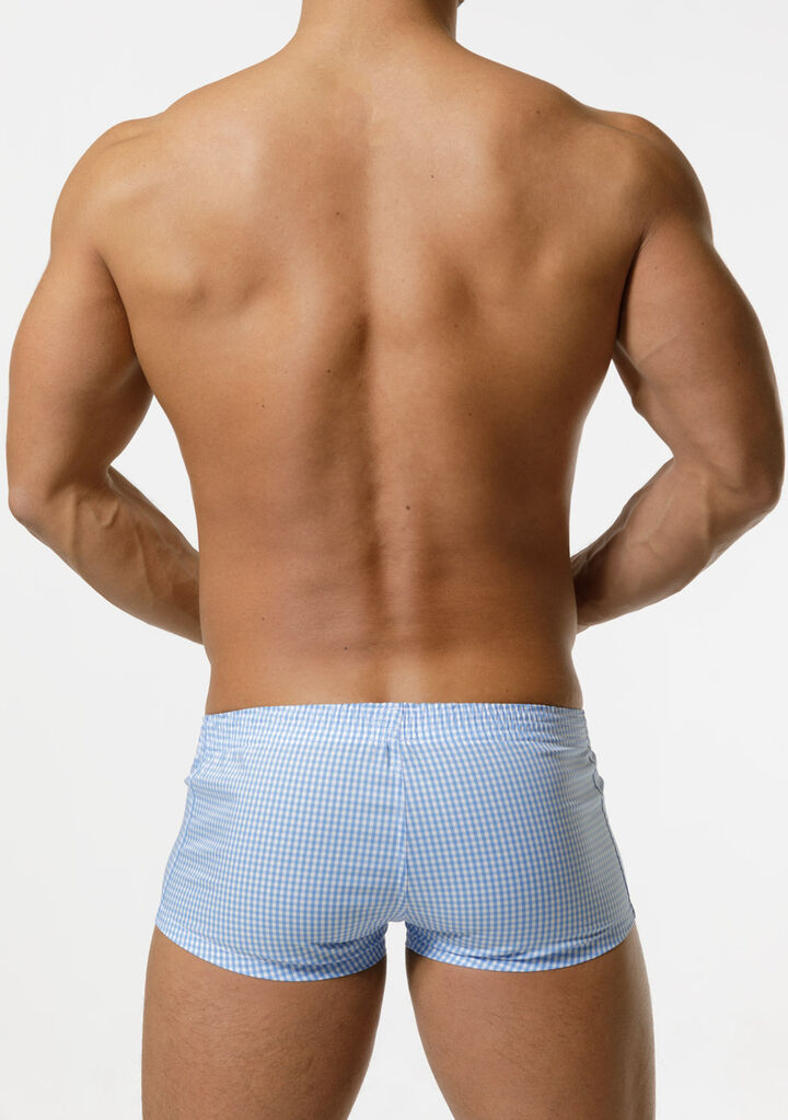 Gingham Check Fit Trunks - the Revival Version,, medium image number 3