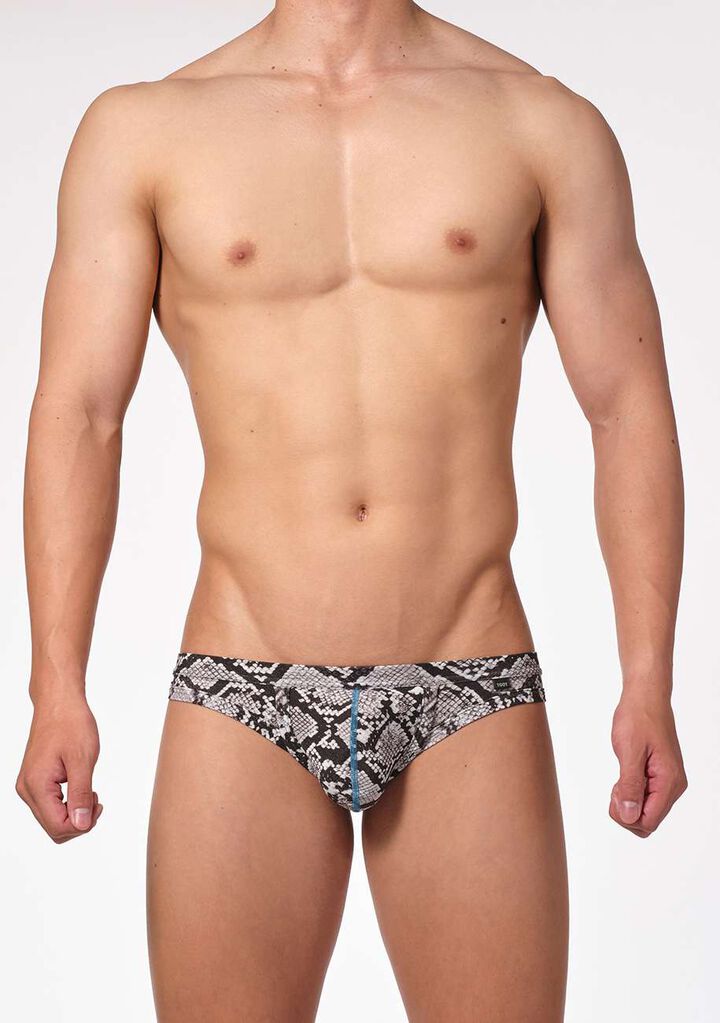 Python Thong,, medium image number 1