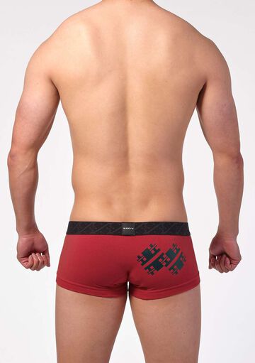 Emblem Back Print NANO,, small image number 2