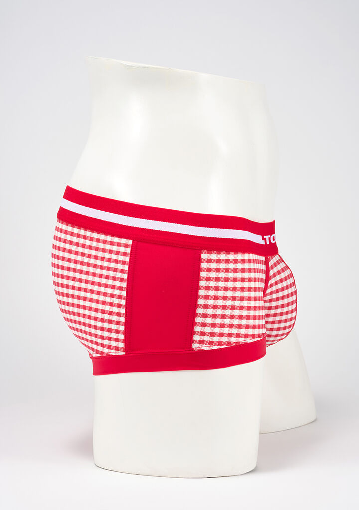 Gingham Check Boxer II,red, medium image number 2