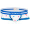 Dot Pt Super NANO,blue, swatch