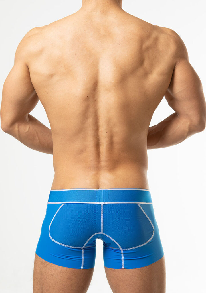 Smooth Short Boxer,blue, medium image number 3