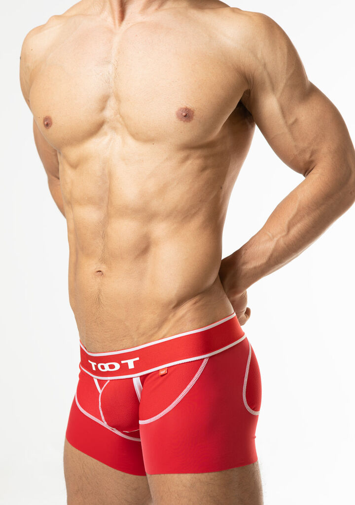 Smooth Short Boxer,red, medium image number 2