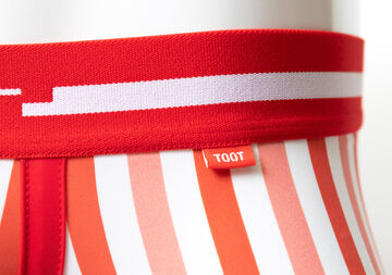 Vertical Stripe NANO,red, small image number 6