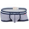 Gingham Check Boxer II,navy, swatch