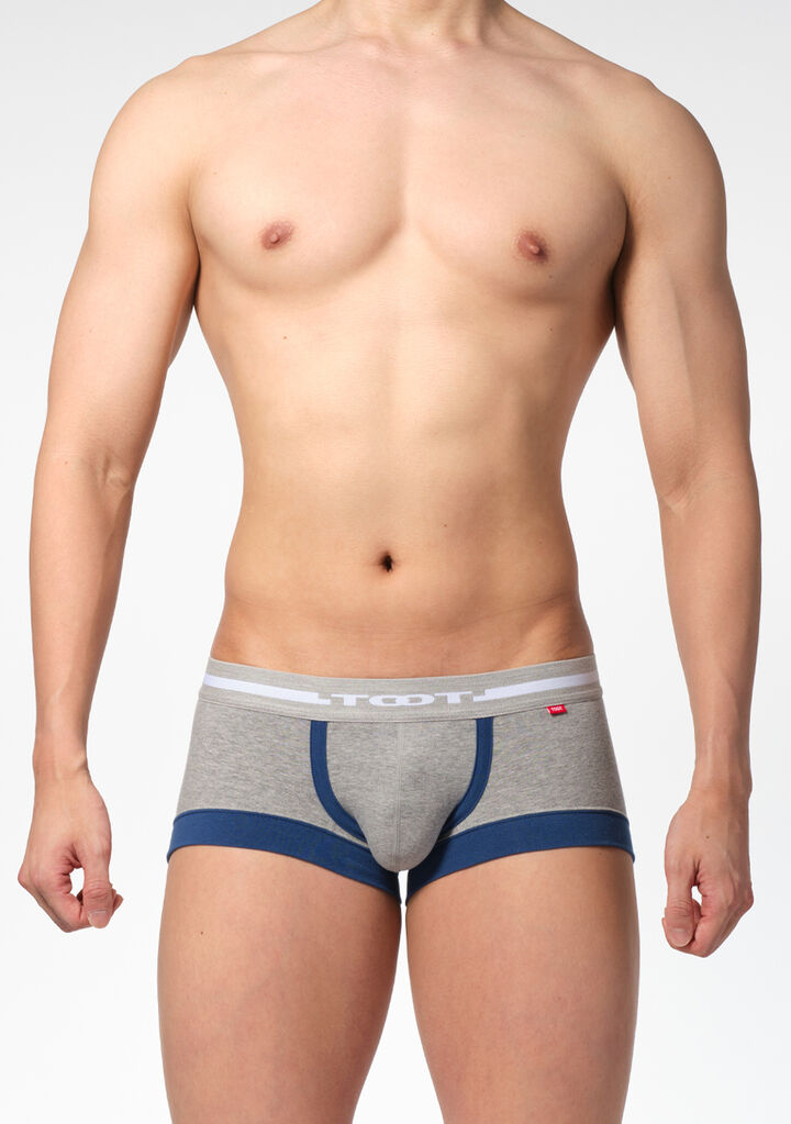 Strings of Life Boxer,gray, medium image number 1