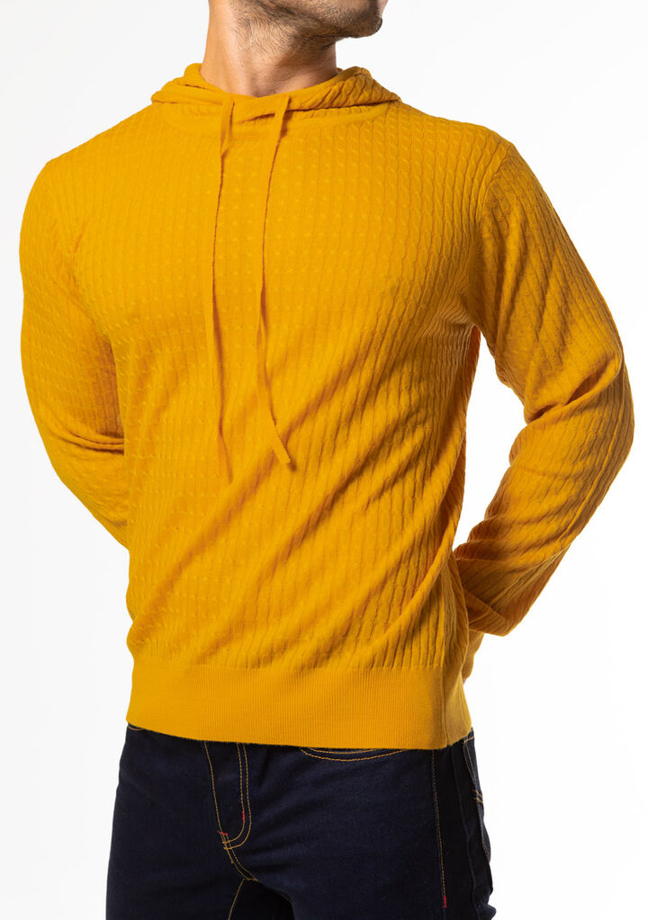 Knit Hoodie,yellow, medium image number 2