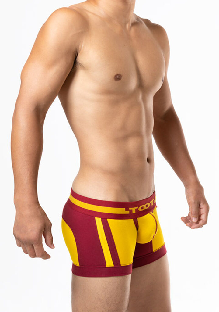 Double Line Short Boxer,darkred, medium image number 4