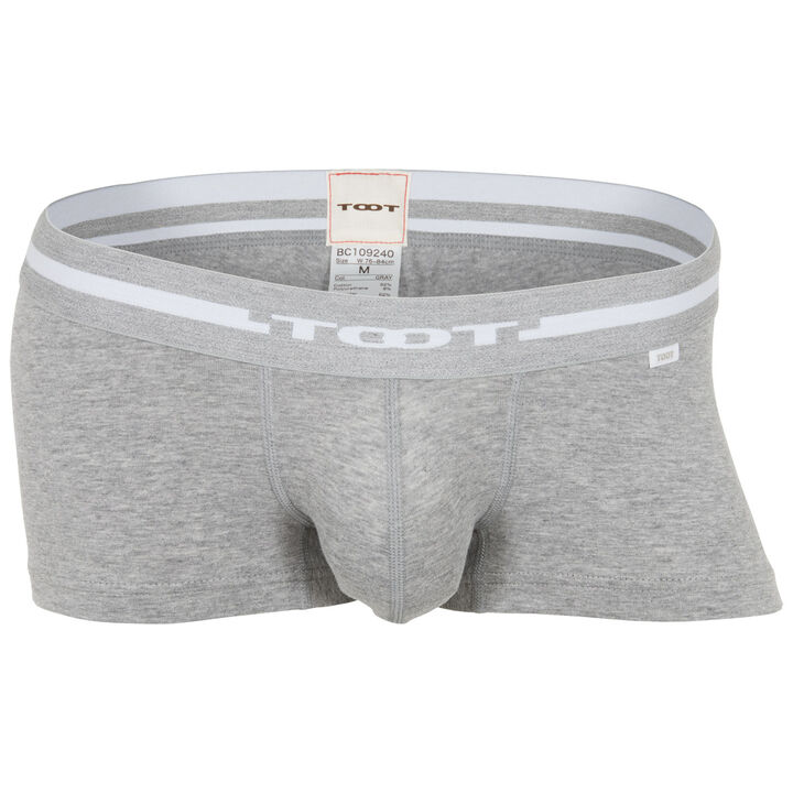 TOOT BASIC - Boxer,gray, medium image number 0