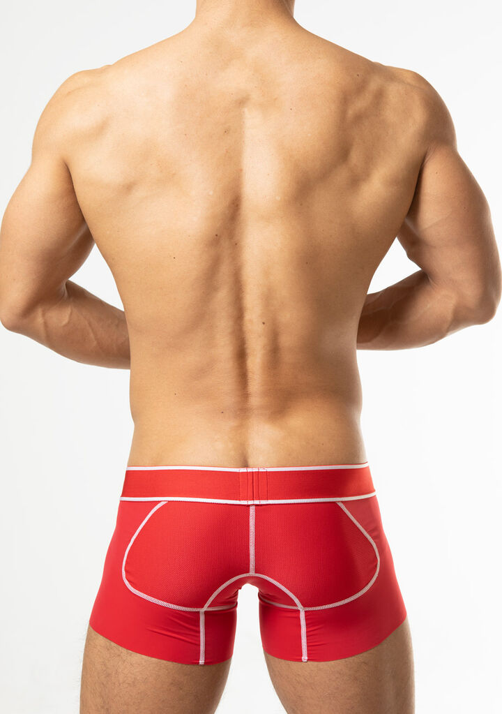 Smooth Short Boxer,red, medium image number 3