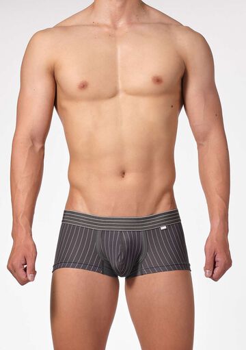 Pinstripe Boxer,, small image number 1