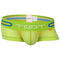 Techno POP boxer,lime, swatch