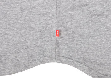 Organic Cotton V-neck T,gray, small image number 6
